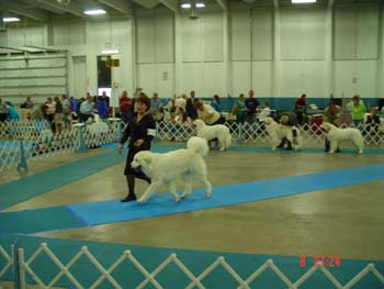 DSC00315
