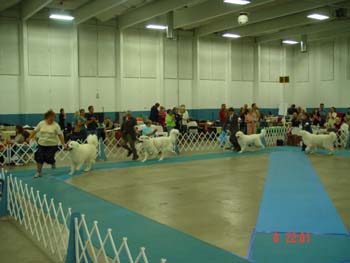 DSC00359