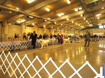 IMG_1155